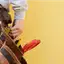 Handyman repair service in Philadelphia, PA for home fixes and improvements